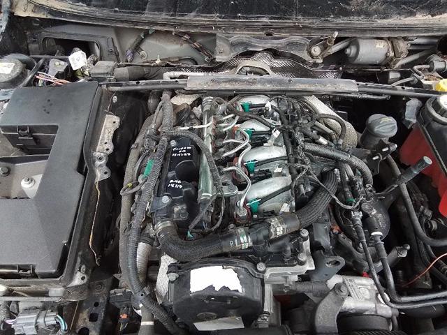 224DT Jaguar
