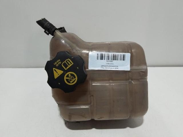 22953219 Opel