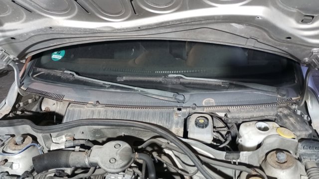 23001902 Opel