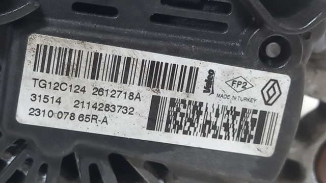 231007865R Renault (RVI)