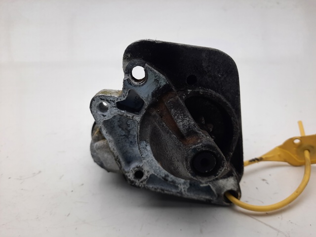 233003329R Renault (RVI)