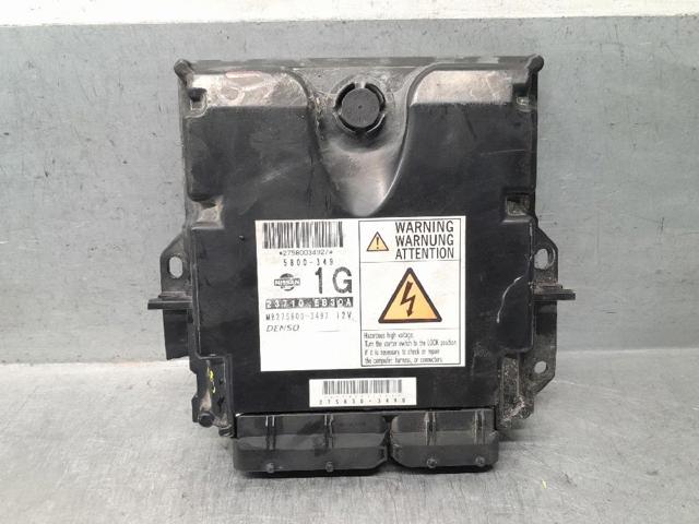  Pathfinder  SUV (2005-2012) oryginalny od 253,70 zł