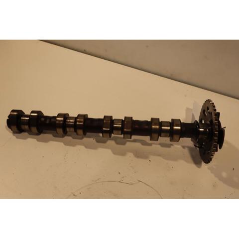 Wał rozrządu silnika ssący, dolotowy Chevrolet Aveo 2 T250, T255