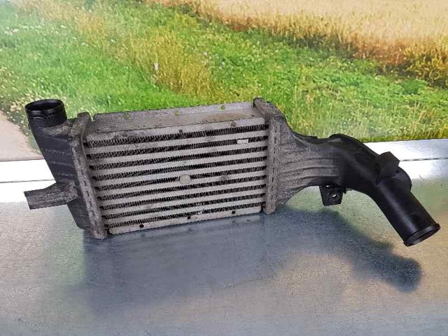 Chłodnica intercoolera 24436438 OPEL