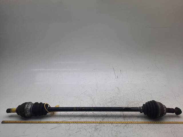 24462241 Opel