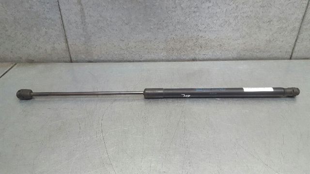 Amortyzator maski 24465295 OPEL