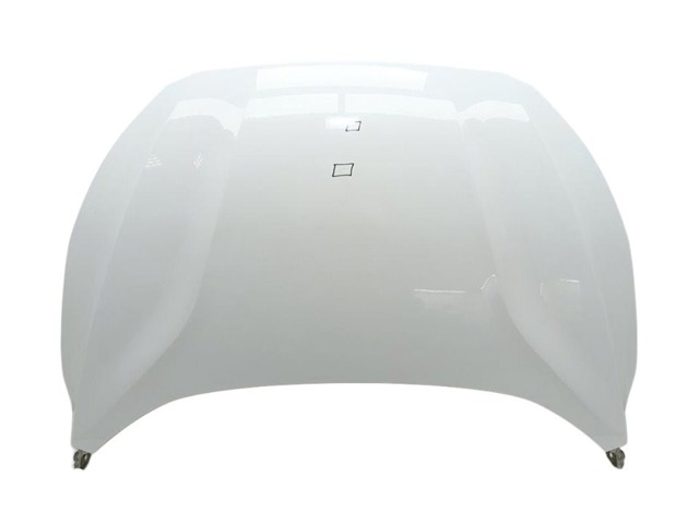 Maska silnika 2513128 FORD