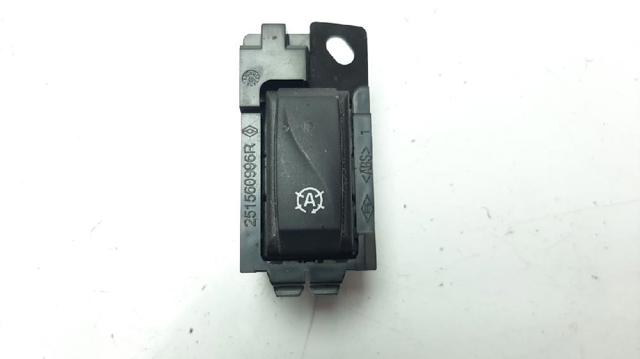 251538545R Renault (RVI)