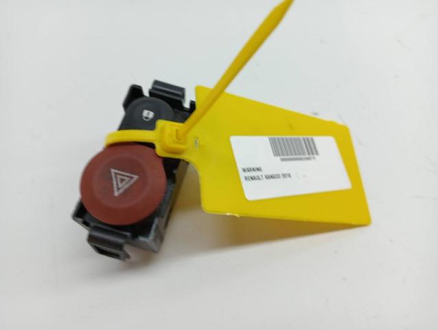252105246R Renault (RVI)