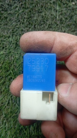 2523079917 Nissan/Infiniti
