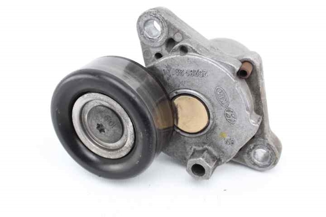 252812A100 Hyundai/Kia