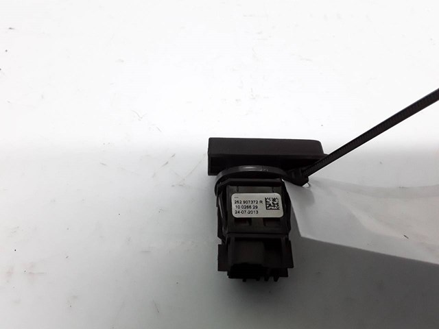 252907372R Renault (RVI)