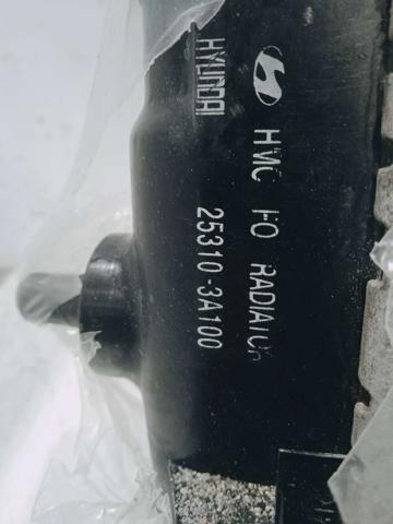 Chłodnica silnika Hyundai Trajet FO