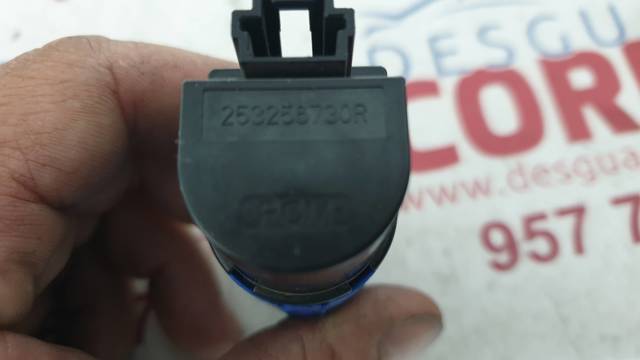 253256730R Renault (RVI)