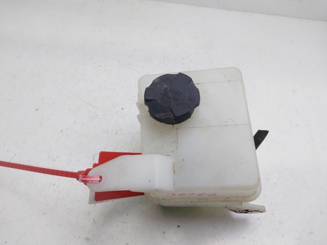 Zbiorniczek wyrównawczy układu chłodzenia 254301J000 HYUNDAI