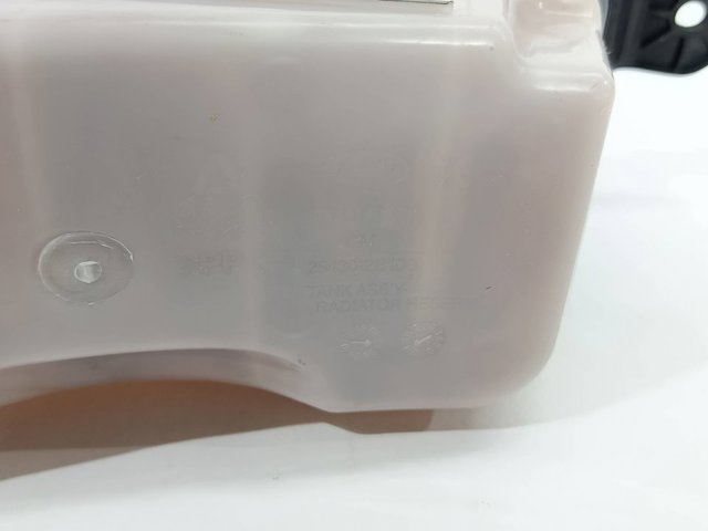 Zbiorniczek wyrównawczy układu chłodzenia 254302B100 HYUNDAI