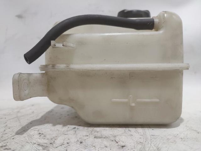 Zbiorniczek wyrównawczy układu chłodzenia 254302S000 HYUNDAI