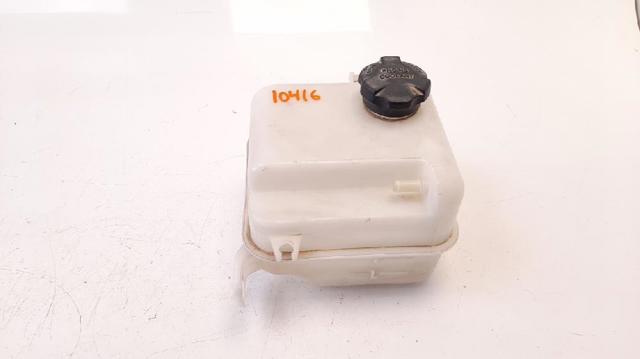 Zbiorniczek wyrównawczy układu chłodzenia 254302S000 HYUNDAI