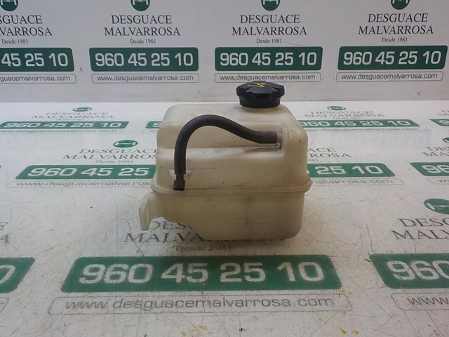 Zbiorniczek wyrównawczy układu chłodzenia 254302S000 HYUNDAI