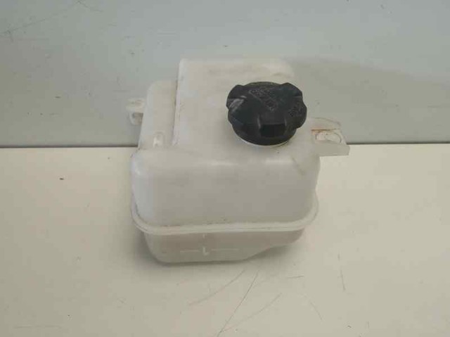 Zbiorniczek wyrównawczy układu chłodzenia 254302S000 HYUNDAI