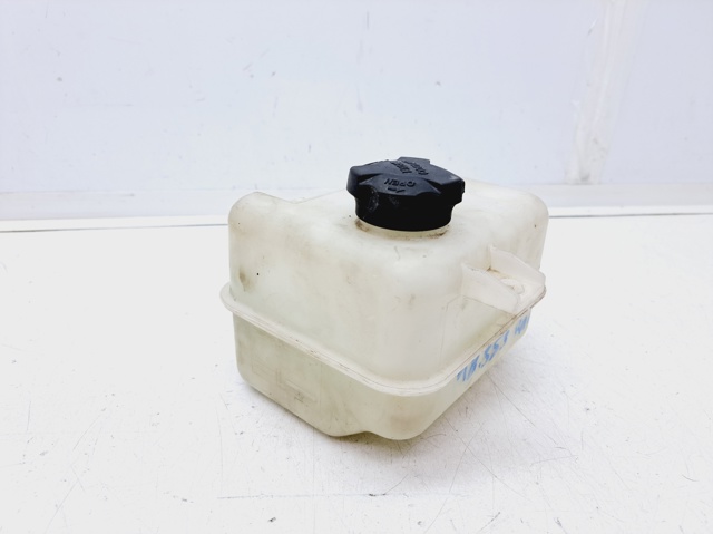 Zbiorniczek wyrównawczy układu chłodzenia KIA Carens 3