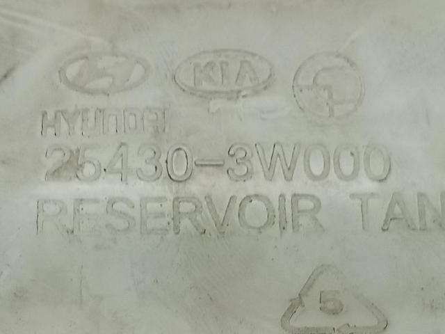 Zbiorniczek wyrównawczy układu chłodzenia KIA Carens 3