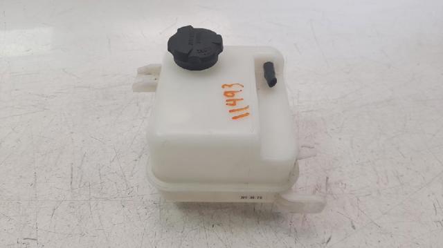 Zbiorniczek wyrównawczy układu chłodzenia KIA Carens 3
