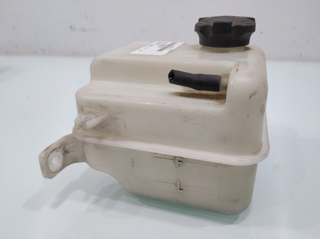 Zbiorniczek wyrównawczy układu chłodzenia KIA Carens 3