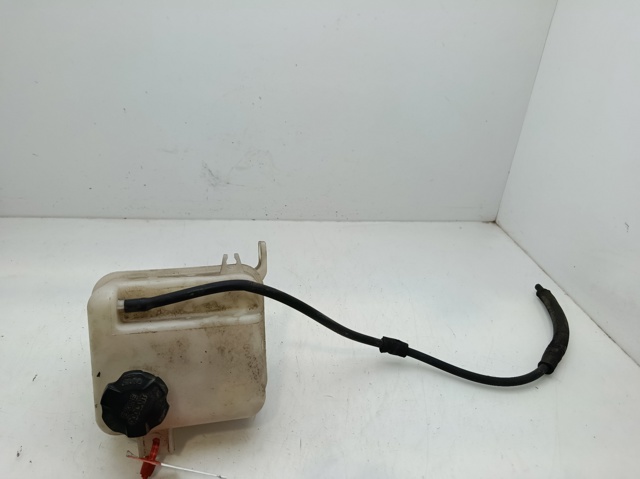 Zbiorniczek wyrównawczy układu chłodzenia 254303W000 HYUNDAI