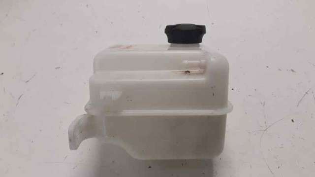 Zbiorniczek wyrównawczy układu chłodzenia KIA Carens 3