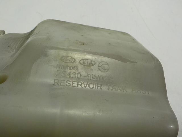 Zbiorniczek wyrównawczy układu chłodzenia KIA Carens 3