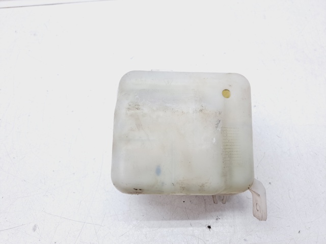 Zbiorniczek wyrównawczy układu chłodzenia KIA Carens 3