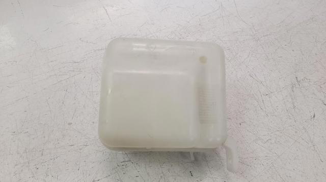 Zbiorniczek wyrównawczy układu chłodzenia KIA Carens 3