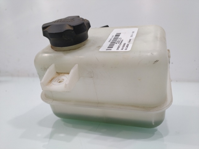 Zbiorniczek wyrównawczy układu chłodzenia KIA Carens 3