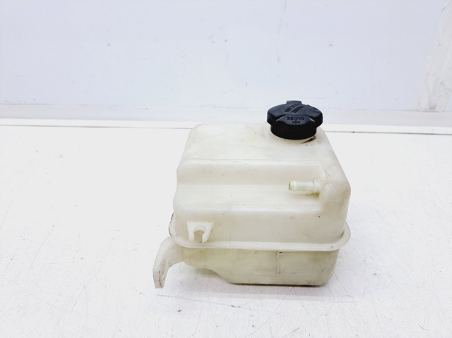 Zbiorniczek wyrównawczy układu chłodzenia KIA Carens 3