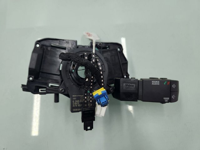 255670610R Renault (RVI)