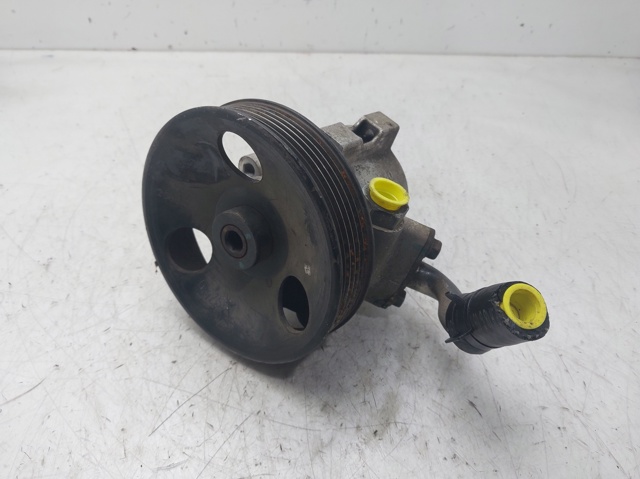 Pompa wspomagania hydraulicznego kierownicy 25980806 GM