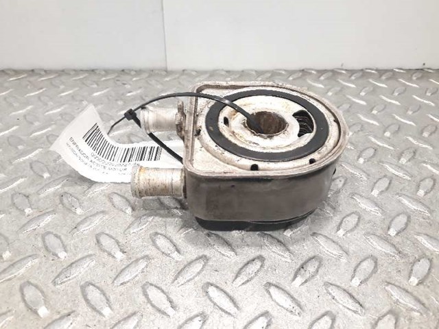 2641025402 Hyundai/Kia
