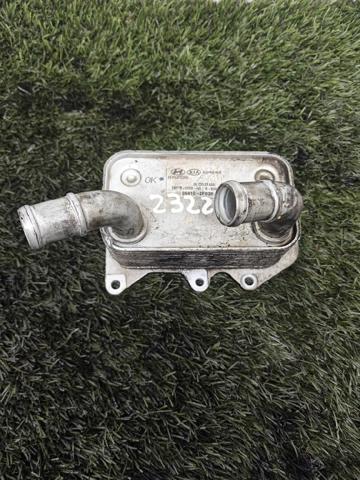 264102F020 Hyundai/Kia