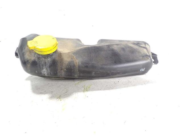 Zbiorniczek spryskiwacza szyb 289101168R RENAULT