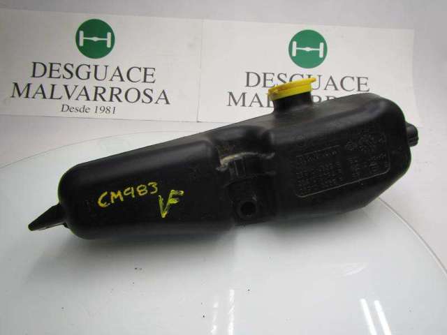 289101168R Renault (RVI)