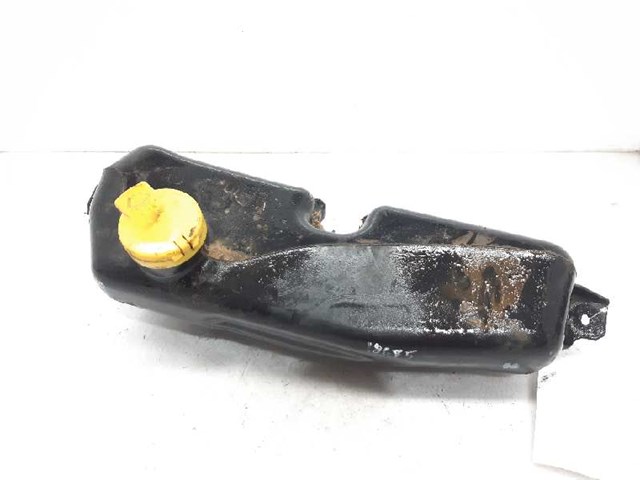 289102573R Renault (RVI)