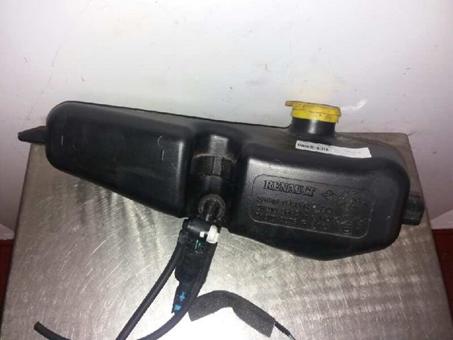 289102573R Renault (RVI)