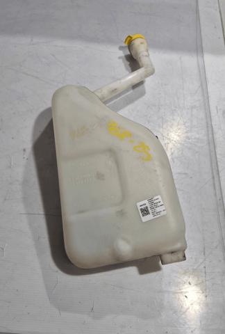 Zbiorniczek spryskiwacza szyb 289104118R RENAULT