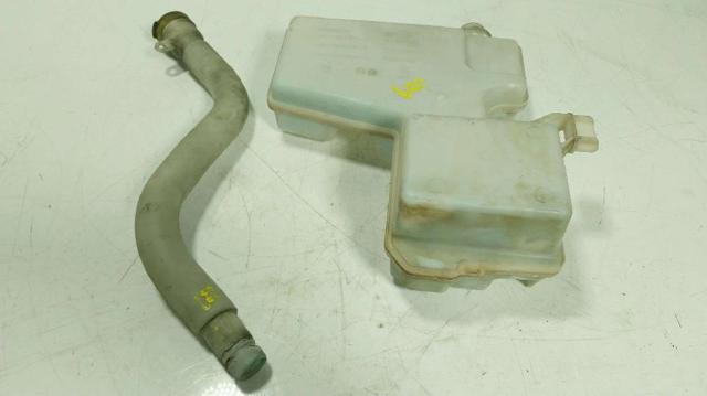289105773R Renault (RVI)