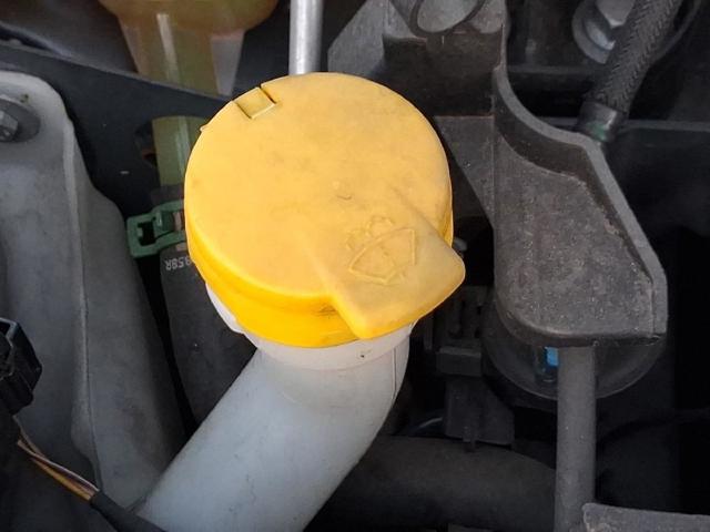 289107594R Renault (RVI)