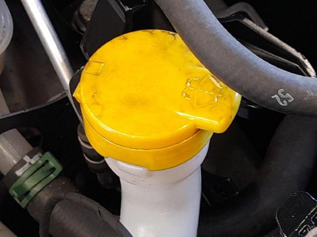 Korek zbiornika spryskiwacza 289107594R RENAULT