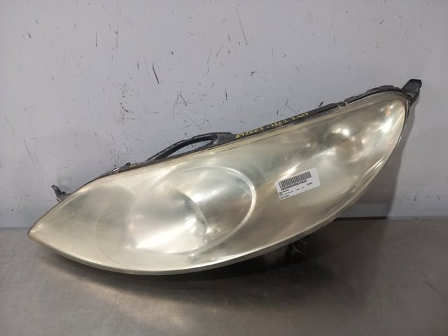 301213201 Peugeot/Citroen