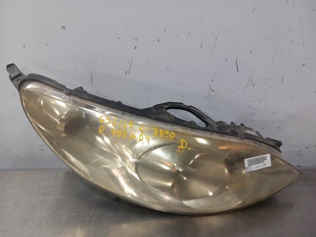 301213202 Peugeot/Citroen