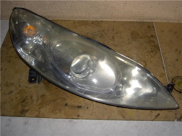 301213204 Peugeot/Citroen